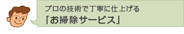 �v���̋Z�p�Œ��J�Ɏd�グ��u���|���T�[�r�X�v