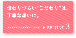 REPORT 3 `Â炢gh́AJȑzɁB
