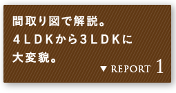 REPORT 1 Ԏ}ŉBSkcjRkcjɑϖeB