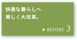 REPORT 3 Kȕ炵֔vB