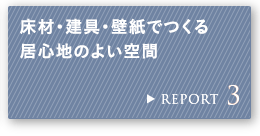 REPORT 3 ށEEǎł鋏Sn̂悢