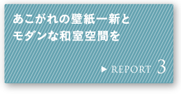 REPORT 3 ̕ǎVƃ_ȘaԂ