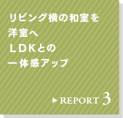 REPORT 3 rO̘am kcjƂ̈̊Abv