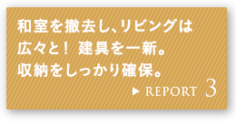 REPORT 3 aPArO͍LXƁI VB[mہB